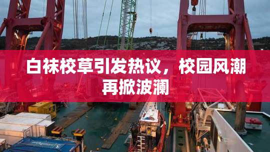 白袜校草引发热议，校园风潮再掀波澜
