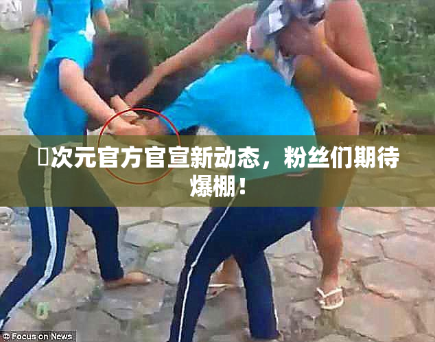 囧次元官方官宣新动态，粉丝们期待爆棚！