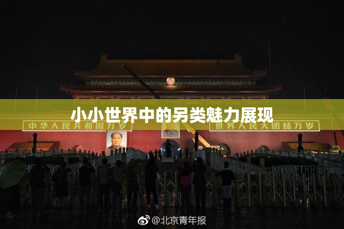 小小世界中的另类魅力展现