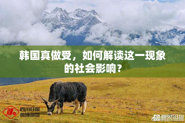 韩国真做受，如何解读这一现象的社会影响？