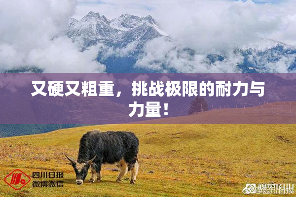 又硬又粗重，挑战极限的耐力与力量！