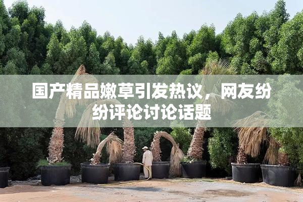 国产精品嫩草引发热议，网友纷纷评论讨论话题