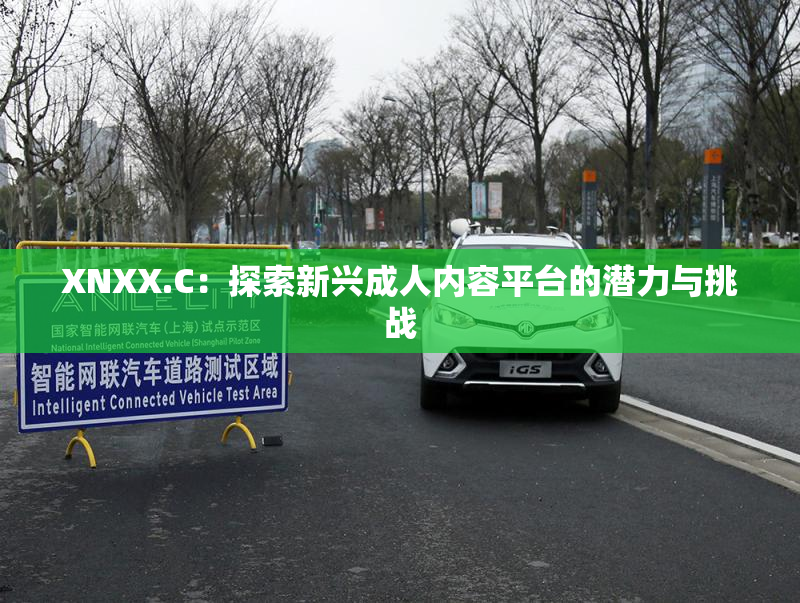 XNXX.C：探索新兴成人内容平台的潜力与挑战