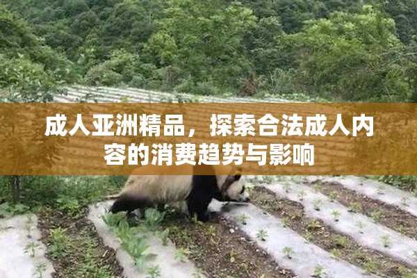 成人亚洲精品，探索合法成人内容的消费趋势与影响