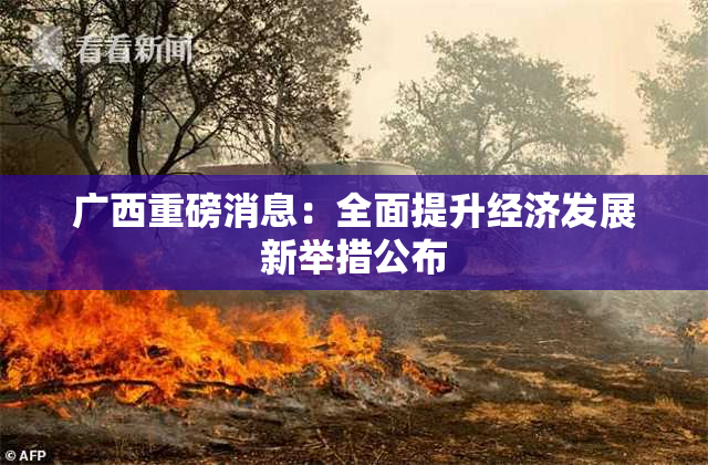 广西重磅消息：全面提升经济发展新举措公布