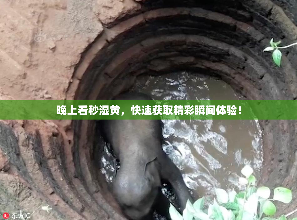 晚上看秒湿黄，快速获取精彩瞬间体验！