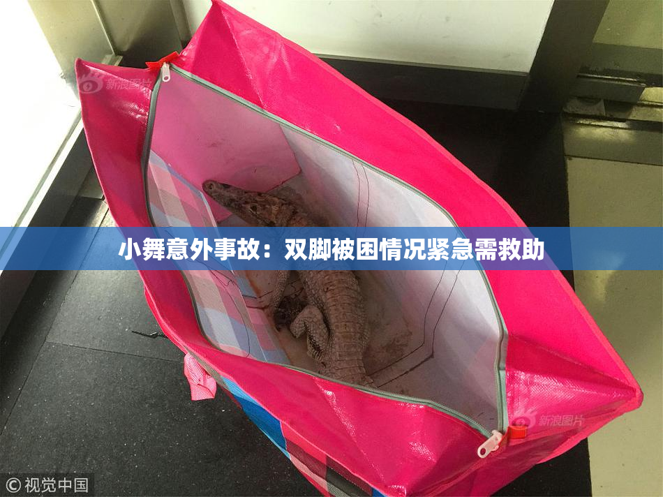 小舞意外事故：双脚被困情况紧急需救助