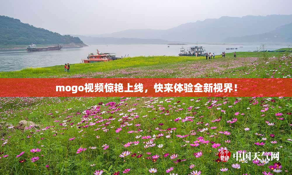 mogo视频惊艳上线，快来体验全新视界！