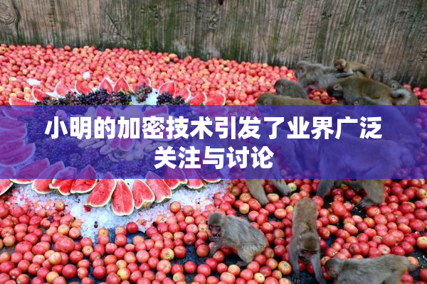 小明的加密技术引发了业界广泛关注与讨论