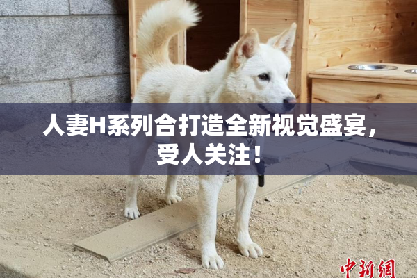 人妻H系列合打造全新视觉盛宴，受人关注！