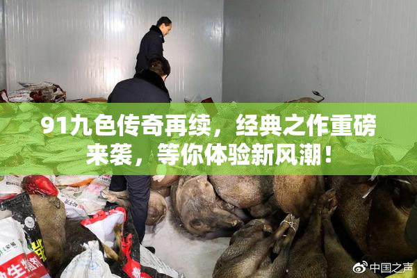91九色传奇再续，经典之作重磅来袭，等你体验新风潮！
