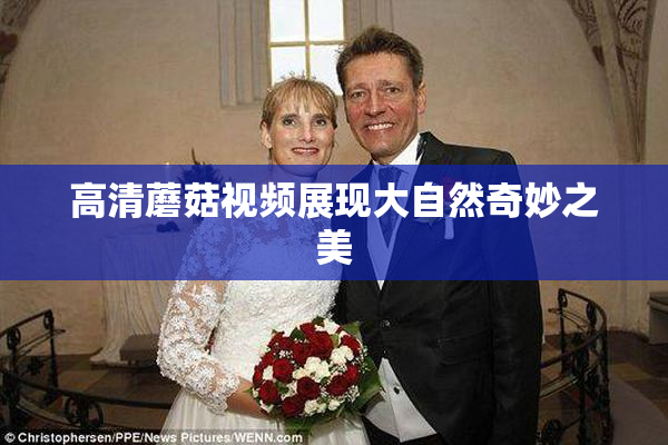 高清蘑菇视频展现大自然奇妙之美