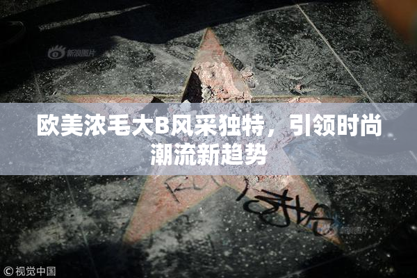 欧美浓毛大B风采独特，引领时尚潮流新趋势