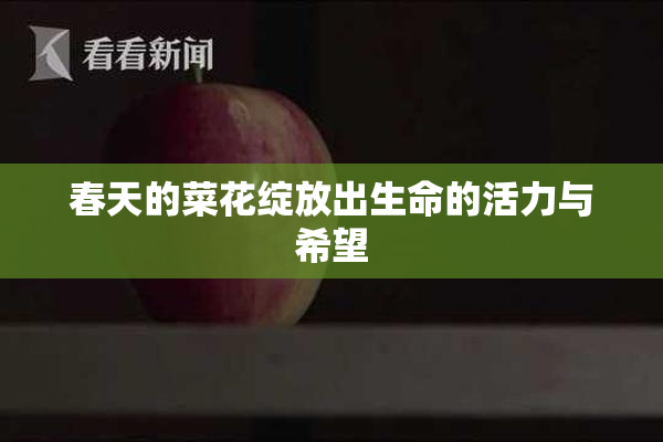 春天的菜花绽放出生命的活力与希望