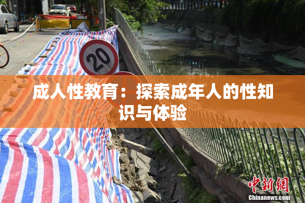 成人性教育：探索成年人的性知识与体验