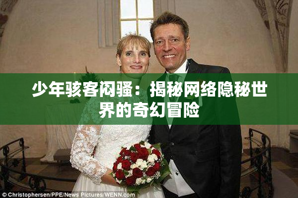 少年骇客闷骚：揭秘网络隐秘世界的奇幻冒险