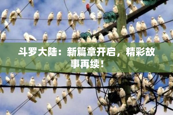 斗罗大陆：新篇章开启，精彩故事再续！