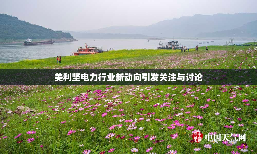 美利坚电力行业新动向引发关注与讨论