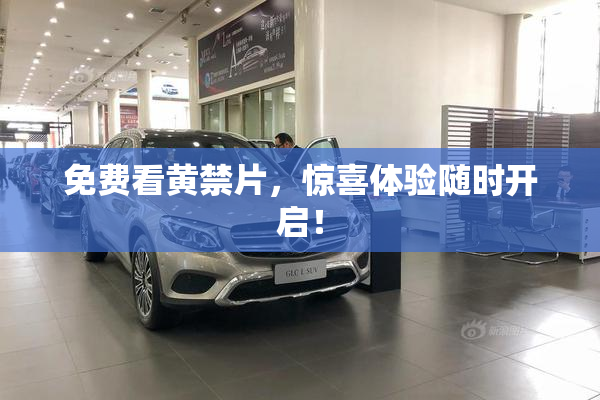 免费看黄禁片，惊喜体验随时开启！