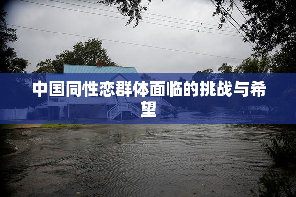 中国同性恋群体面临的挑战与希望