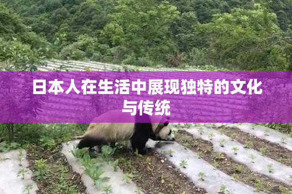 日本人在生活中展现独特的文化与传统
