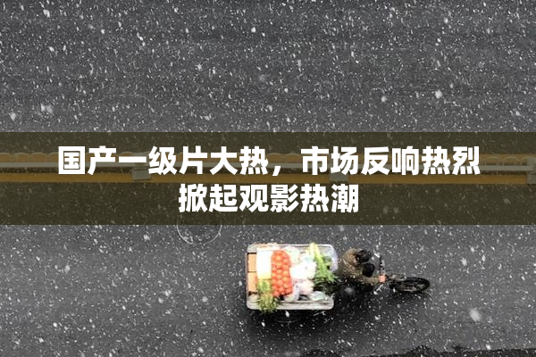 国产一级片大热，市场反响热烈掀起观影热潮