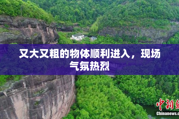 又大又粗的物体顺利进入，现场气氛热烈