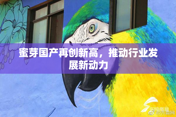 蜜芽国产再创新高，推动行业发展新动力
