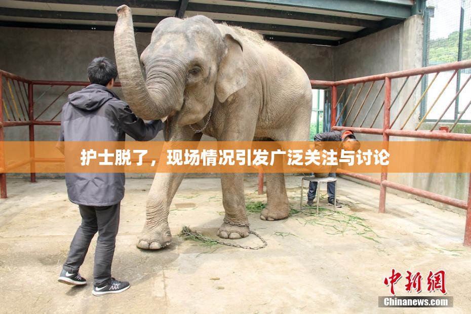 护士脱了，现场情况引发广泛关注与讨论