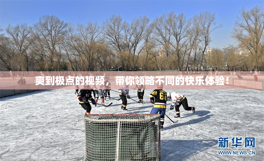 爽到极点的视频，带你领略不同的快乐体验！
