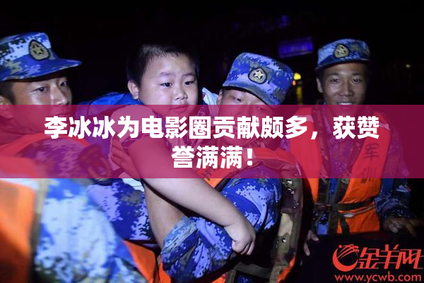 李冰冰为电影圈贡献颇多，获赞誉满满！