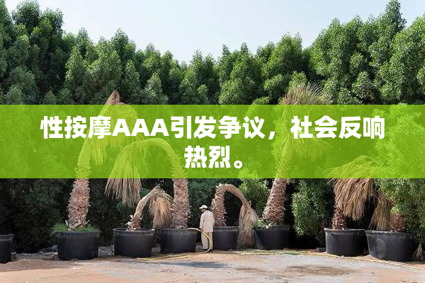 性按摩AAA引发争议，社会反响热烈。