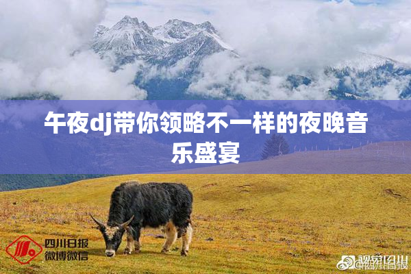 午夜dj带你领略不一样的夜晚音乐盛宴