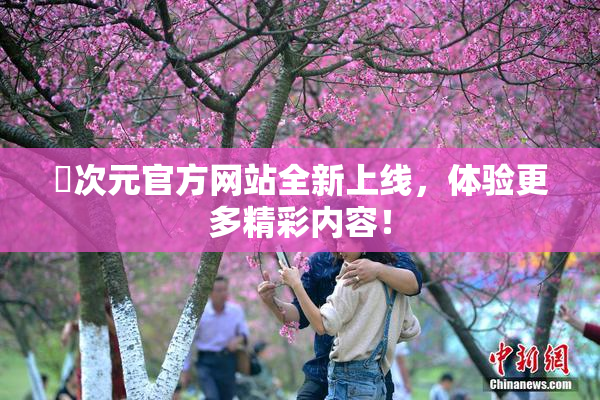囧次元官方网站全新上线，体验更多精彩内容！