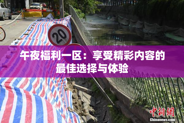午夜福利一区：享受精彩内容的最佳选择与体验