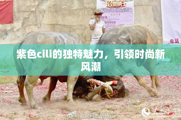 紫色cili的独特魅力，引领时尚新风潮