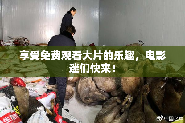 享受免费观看大片的乐趣，电影迷们快来！