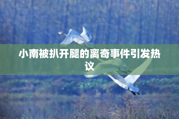 小南被扒开腿的离奇事件引发热议