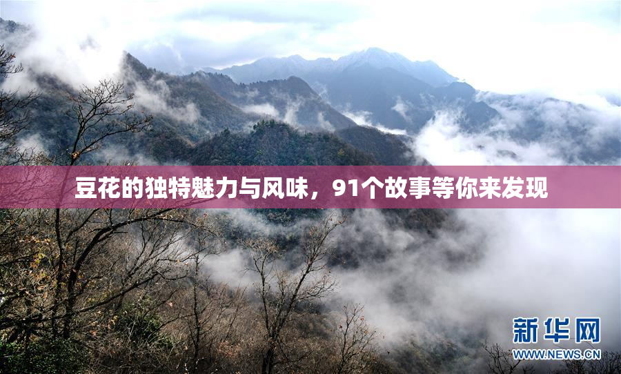 豆花的独特魅力与风味，91个故事等你来发现