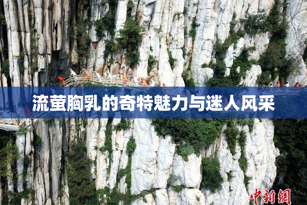 流萤胸乳的奇特魅力与迷人风采