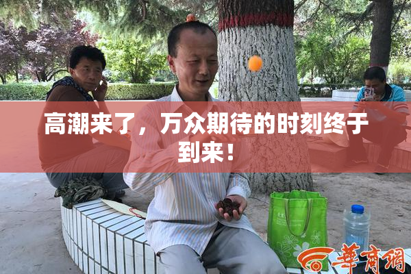 高潮来了，万众期待的时刻终于到来！