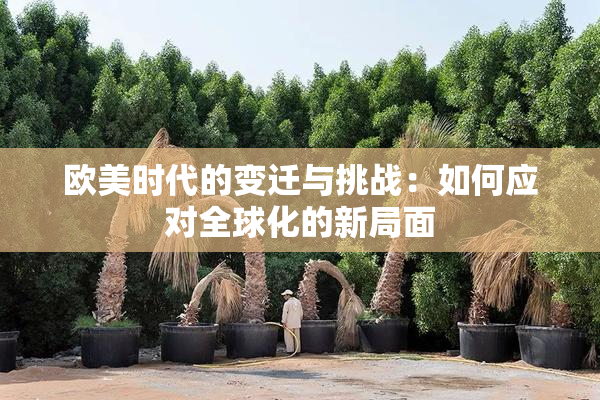 欧美时代的变迁与挑战：如何应对全球化的新局面