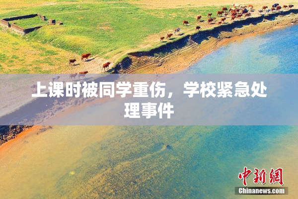 上课时被同学重伤，学校紧急处理事件