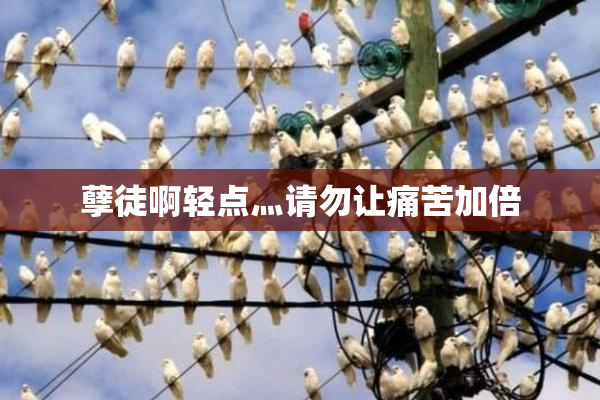 孽徒啊轻点灬请勿让痛苦加倍