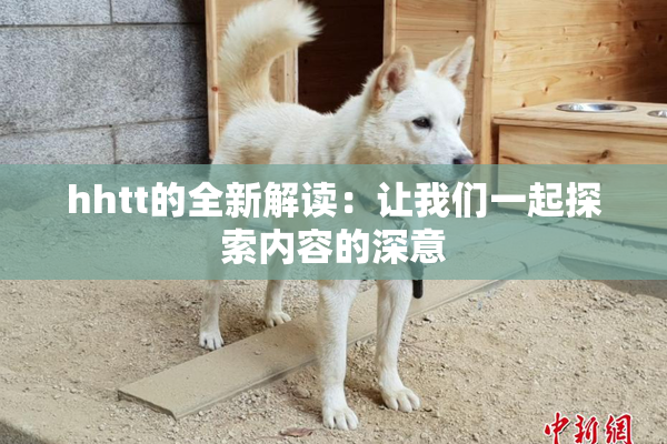 hhtt的全新解读：让我们一起探索内容的深意