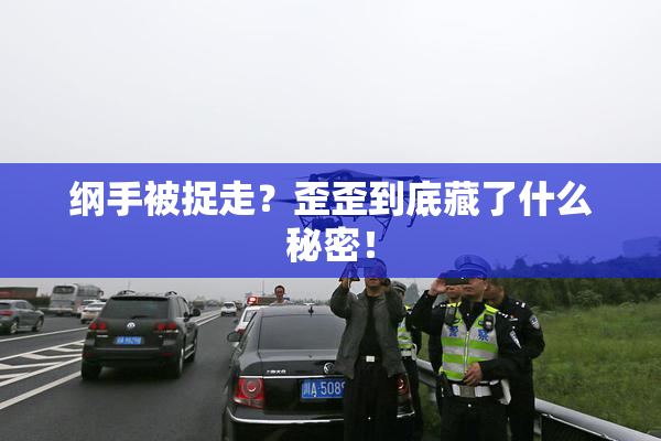 纲手被捉走？歪歪到底藏了什么秘密！