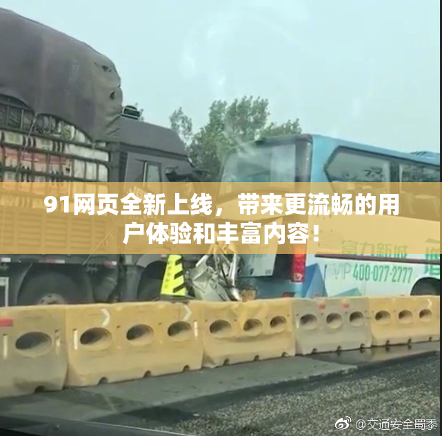 91网页全新上线，带来更流畅的用户体验和丰富内容！