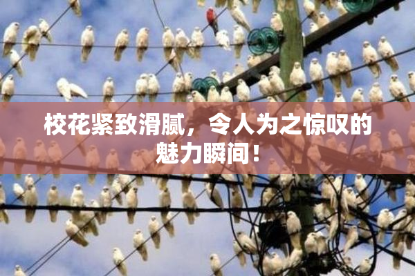 校花紧致滑腻，令人为之惊叹的魅力瞬间！