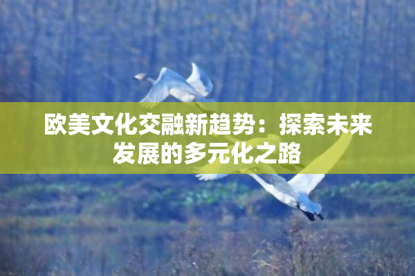 欧美文化交融新趋势：探索未来发展的多元化之路