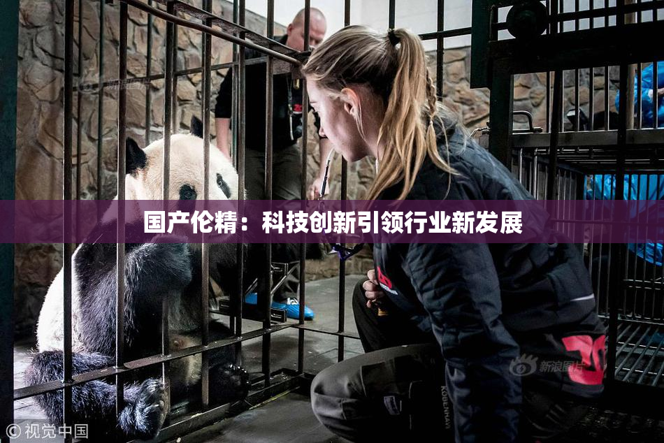 国产伦精：科技创新引领行业新发展